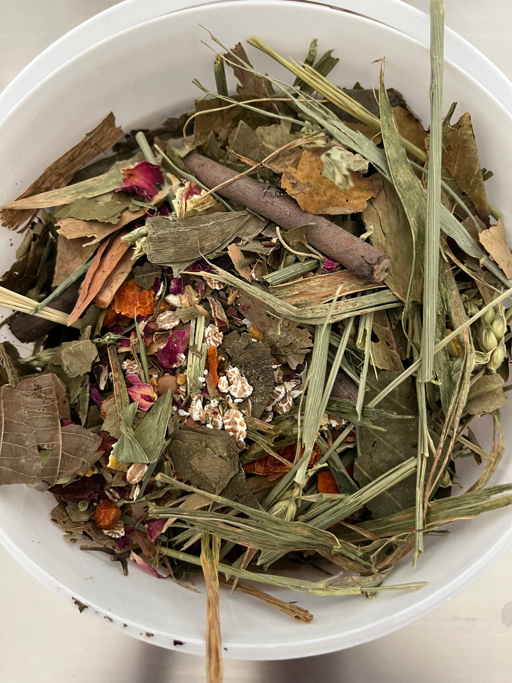 Forage Mix | Basis | Große Papageien