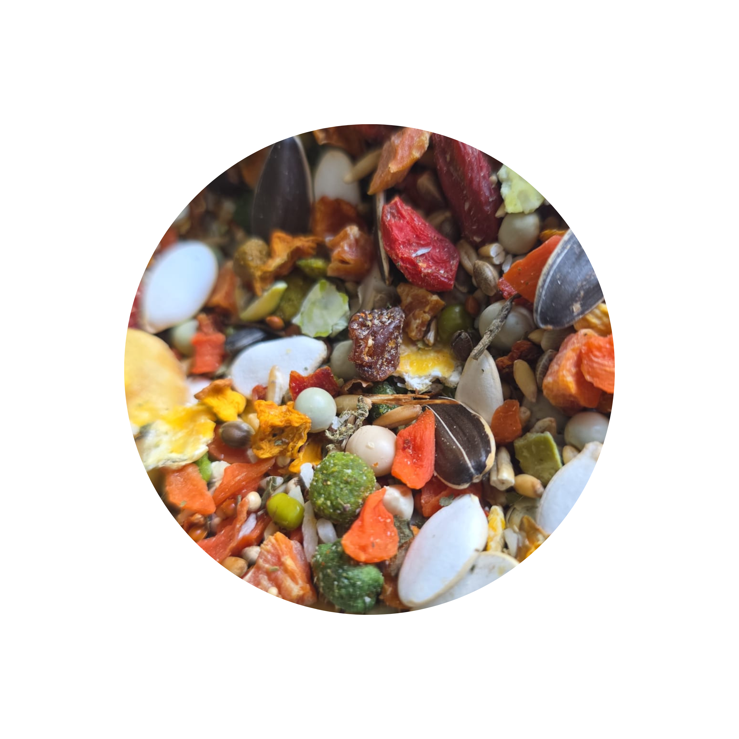 Voeding | Pyrrhura | Puur | 1kg | papegaaienvoer