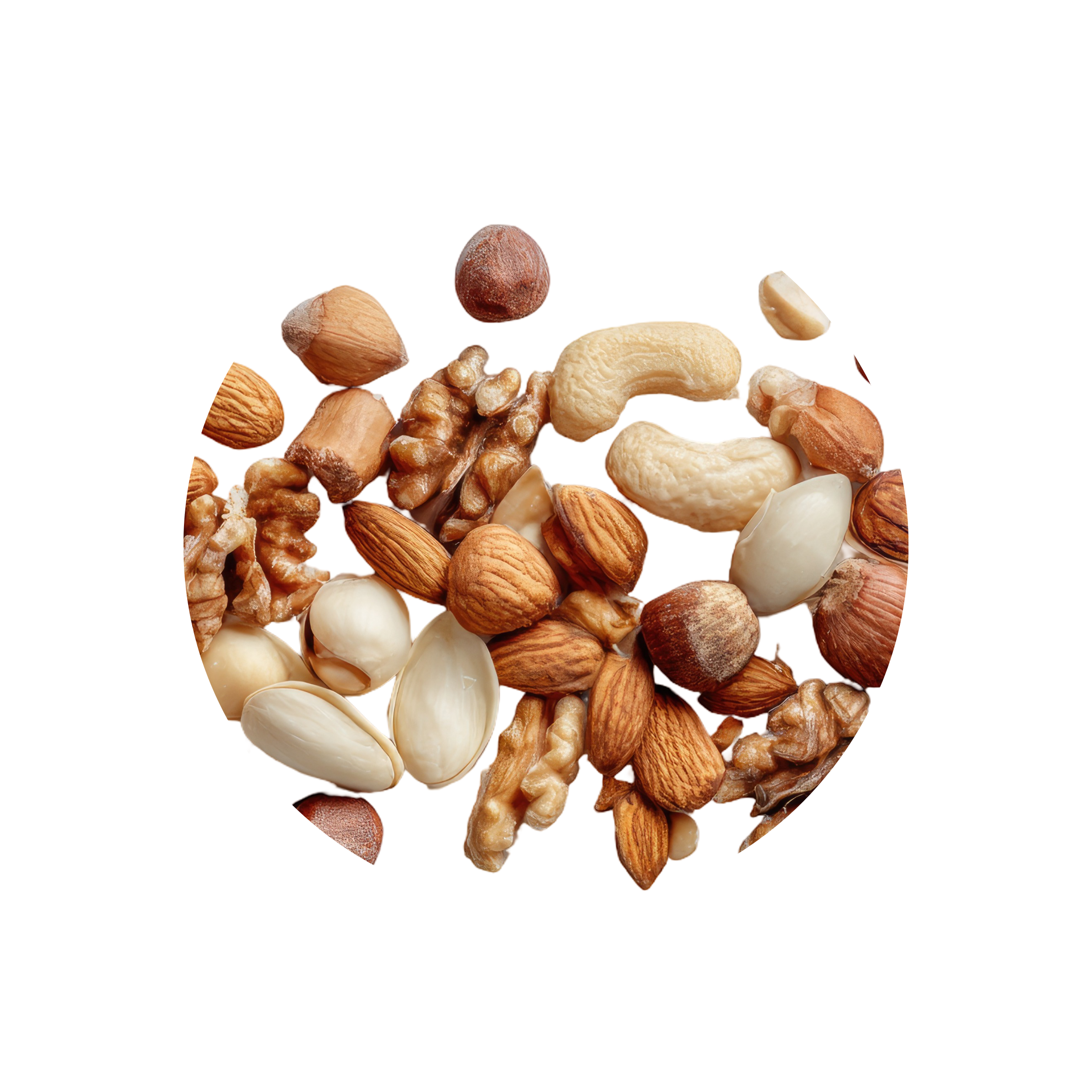 Voeding | Grote Papegaaien | High Energy & Motion 1kg