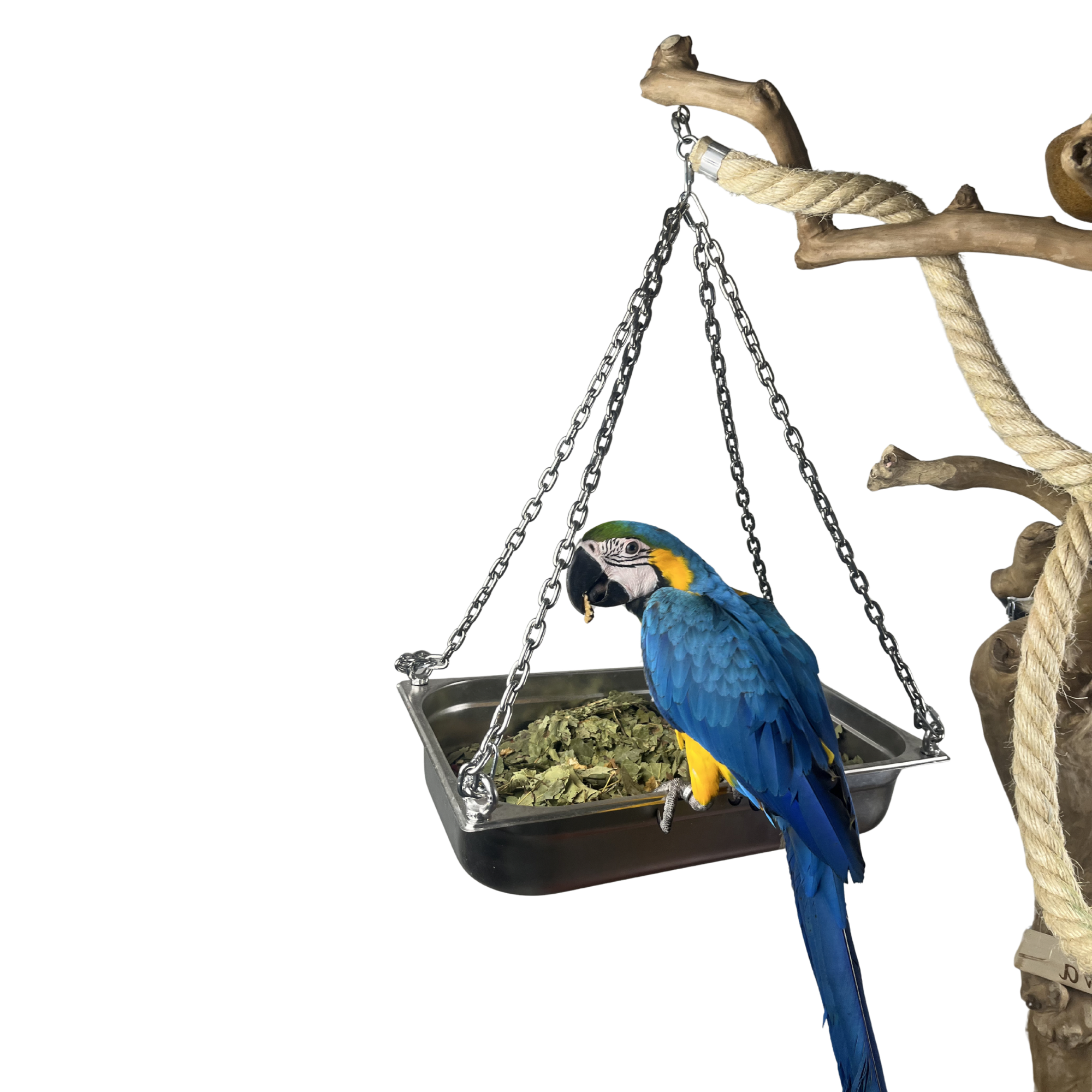 Foerageerschaal 100% RVS