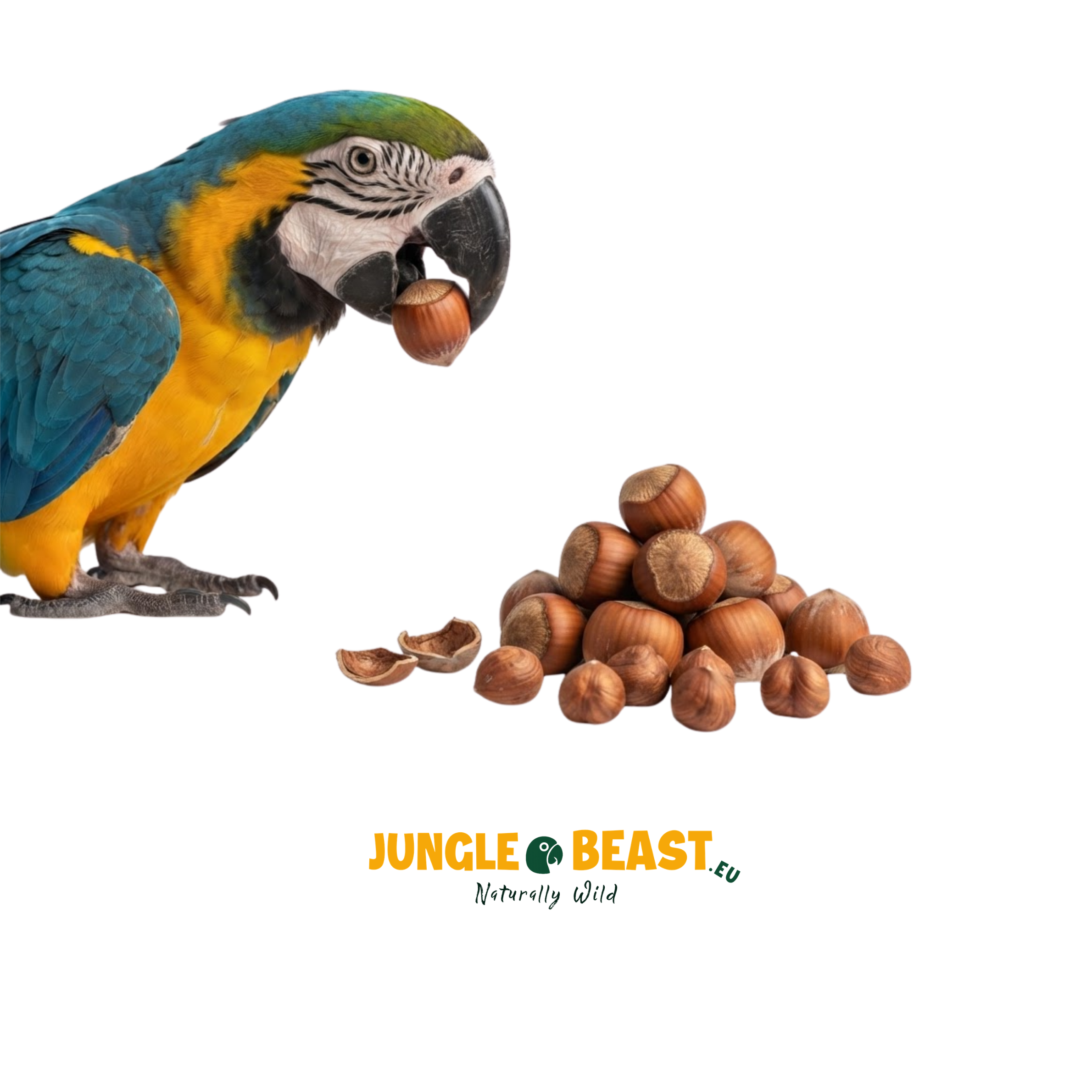 Hazelnoten | Dop | Papegaaien | 500g