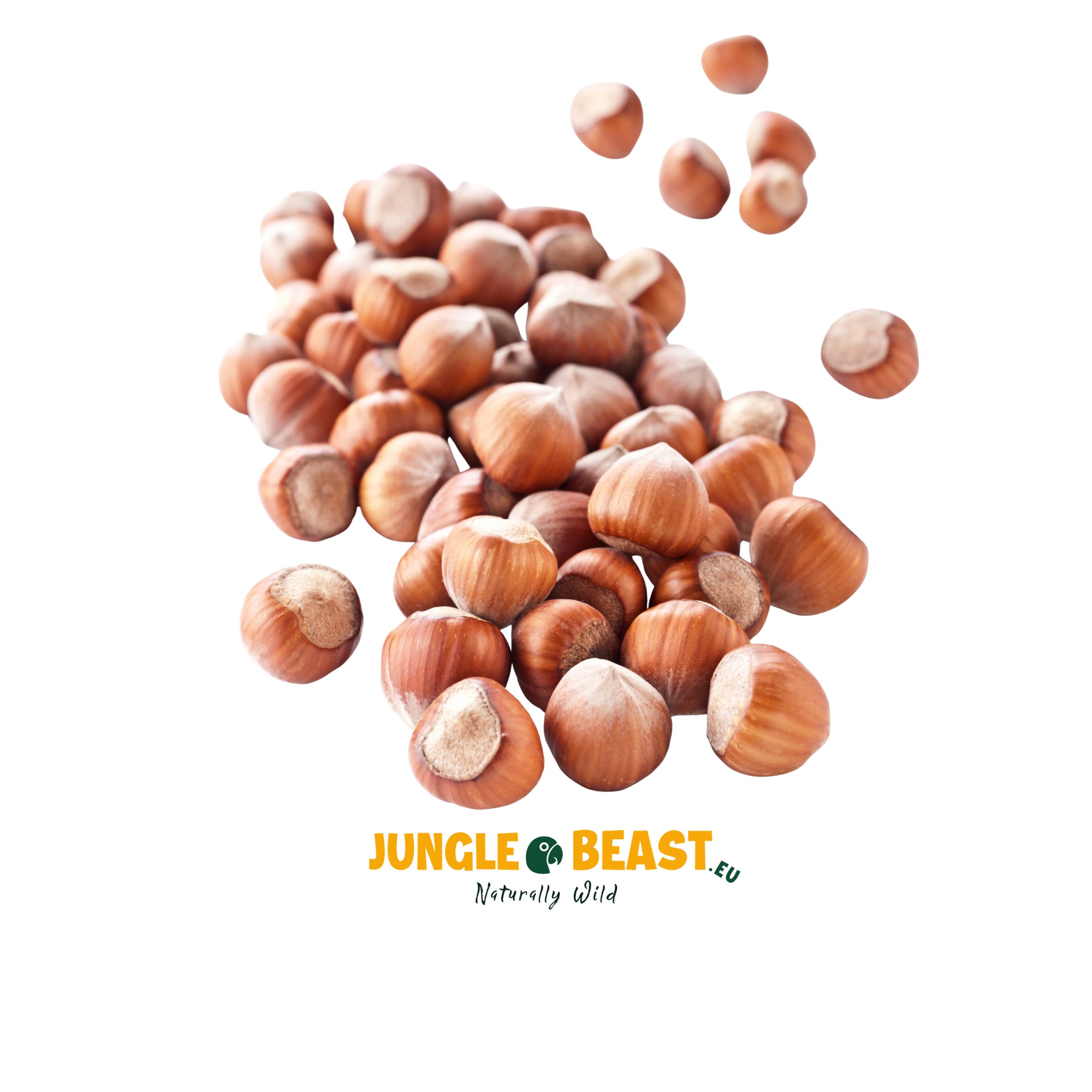 Hazelnoten | Dop | Papegaaien | 500g