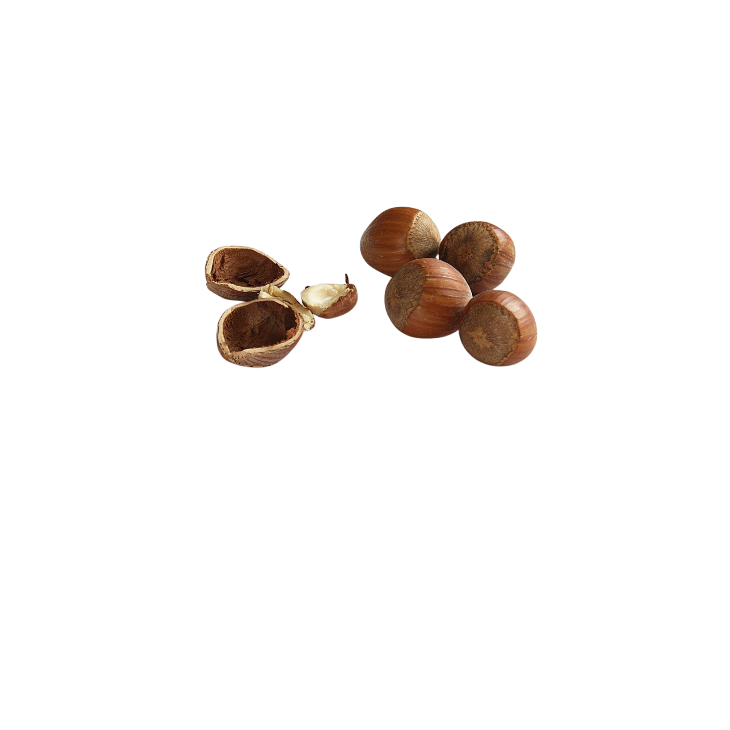 Hazelnoten | 500g | noten