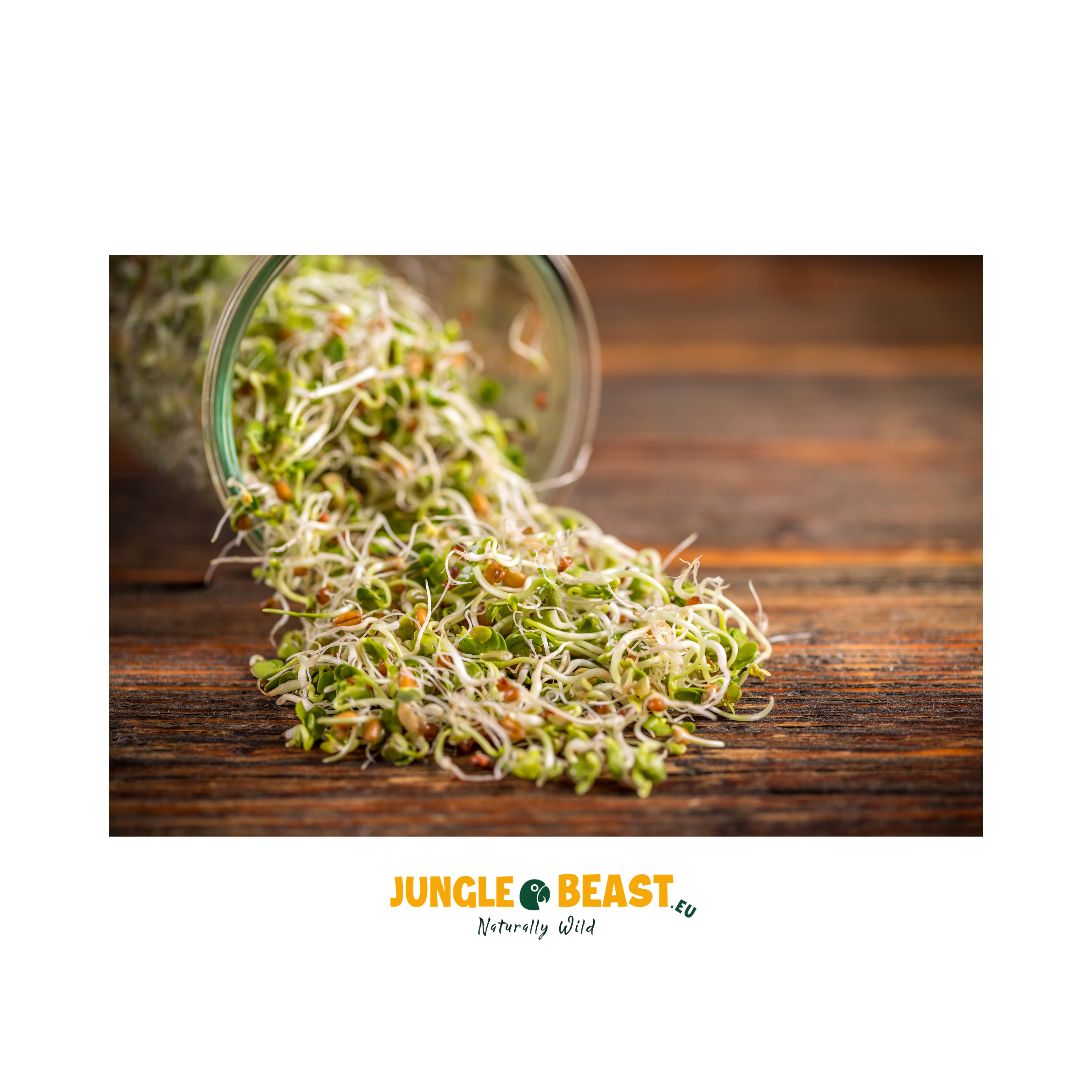 Kiemzaad | Foerageer | 700g | papegaaienvoer