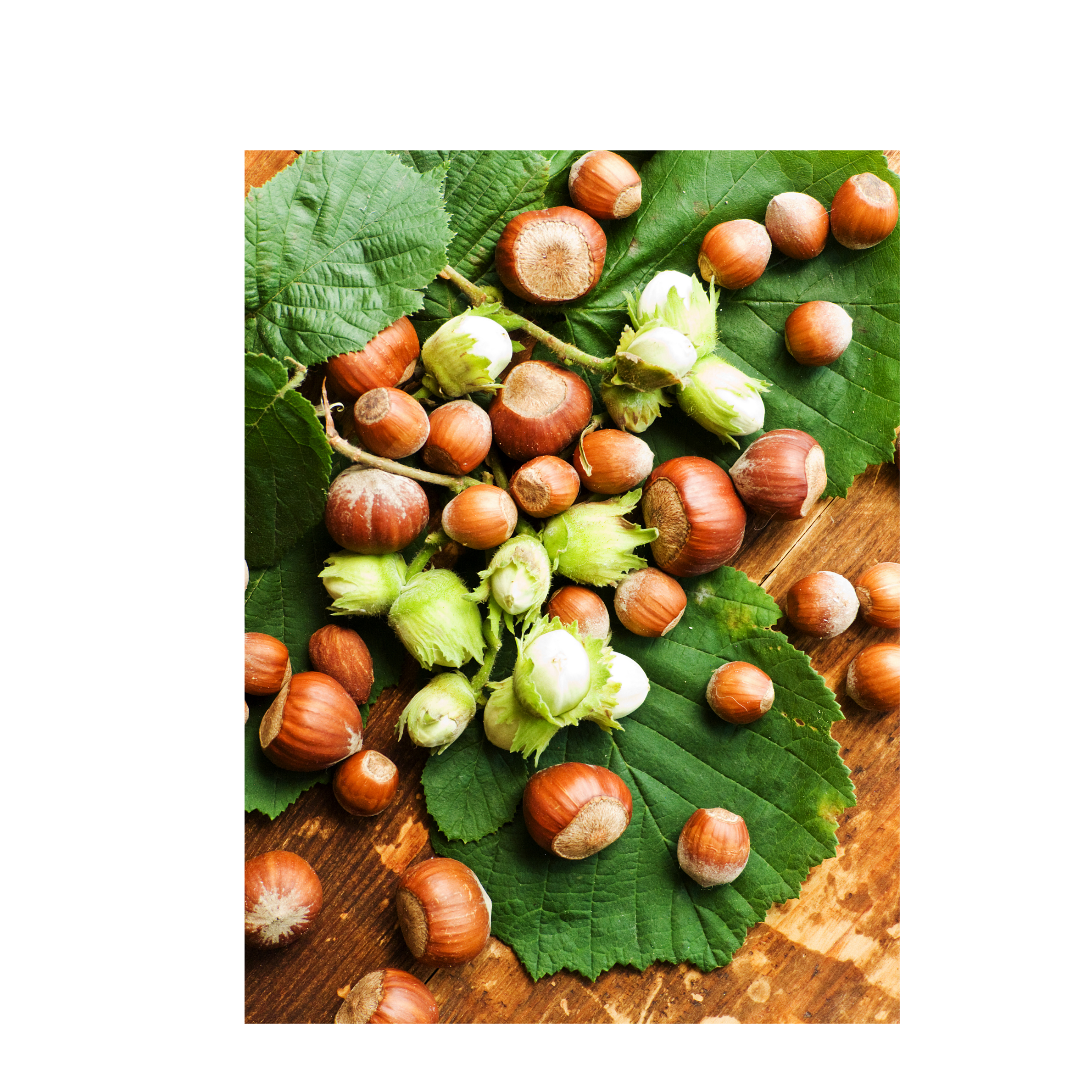 Hazelnoten | 500g | noten