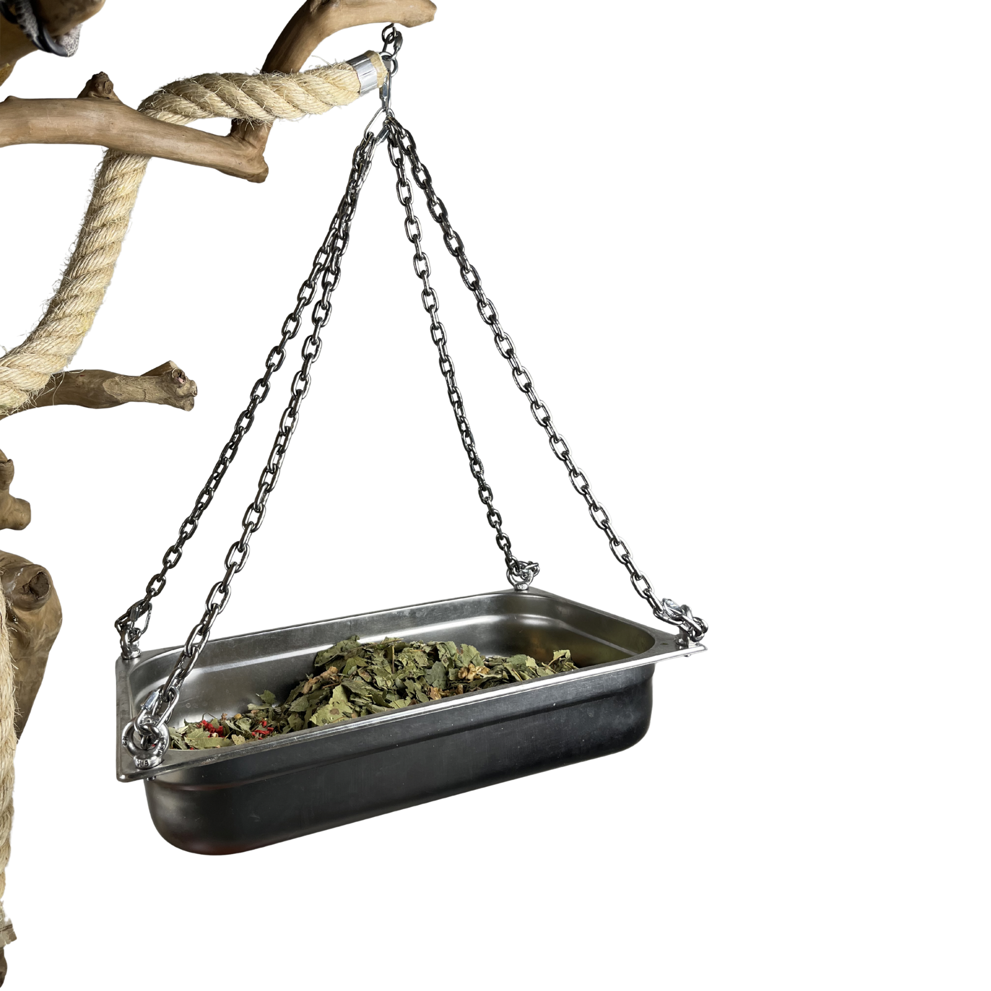 Foerageerschaal 100% RVS