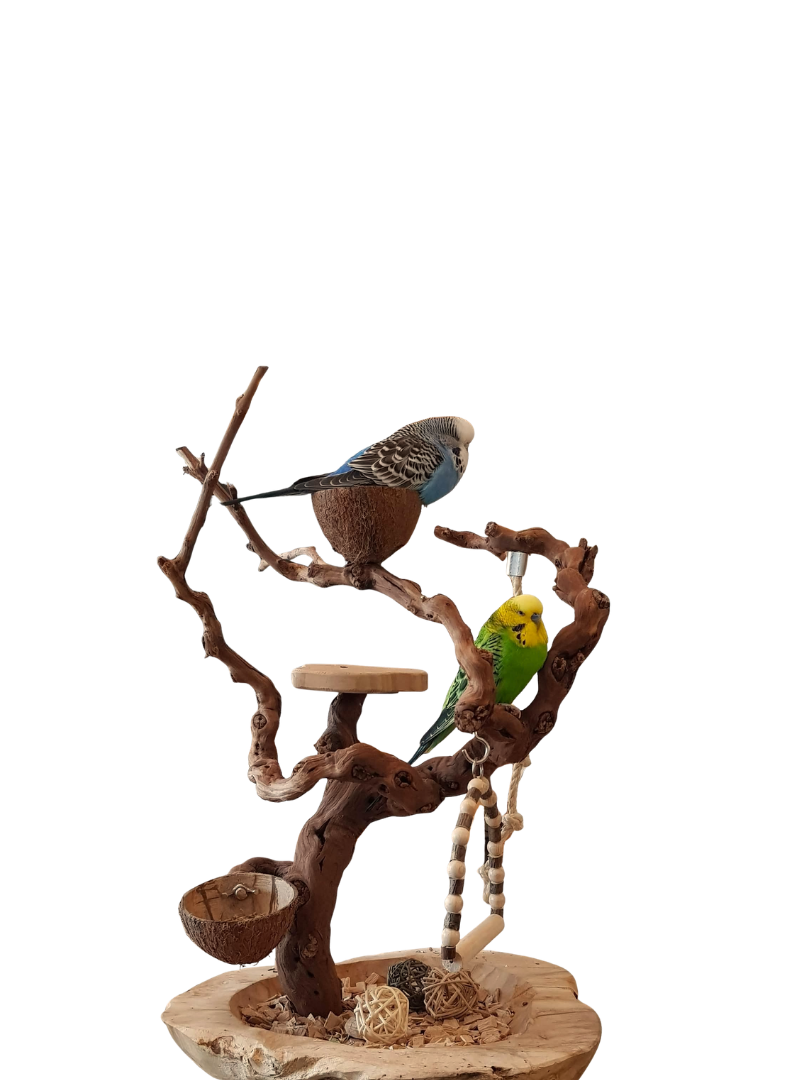 MysticForest | Dschungel-Spielmodus | kleine Papageien | handgemacht |