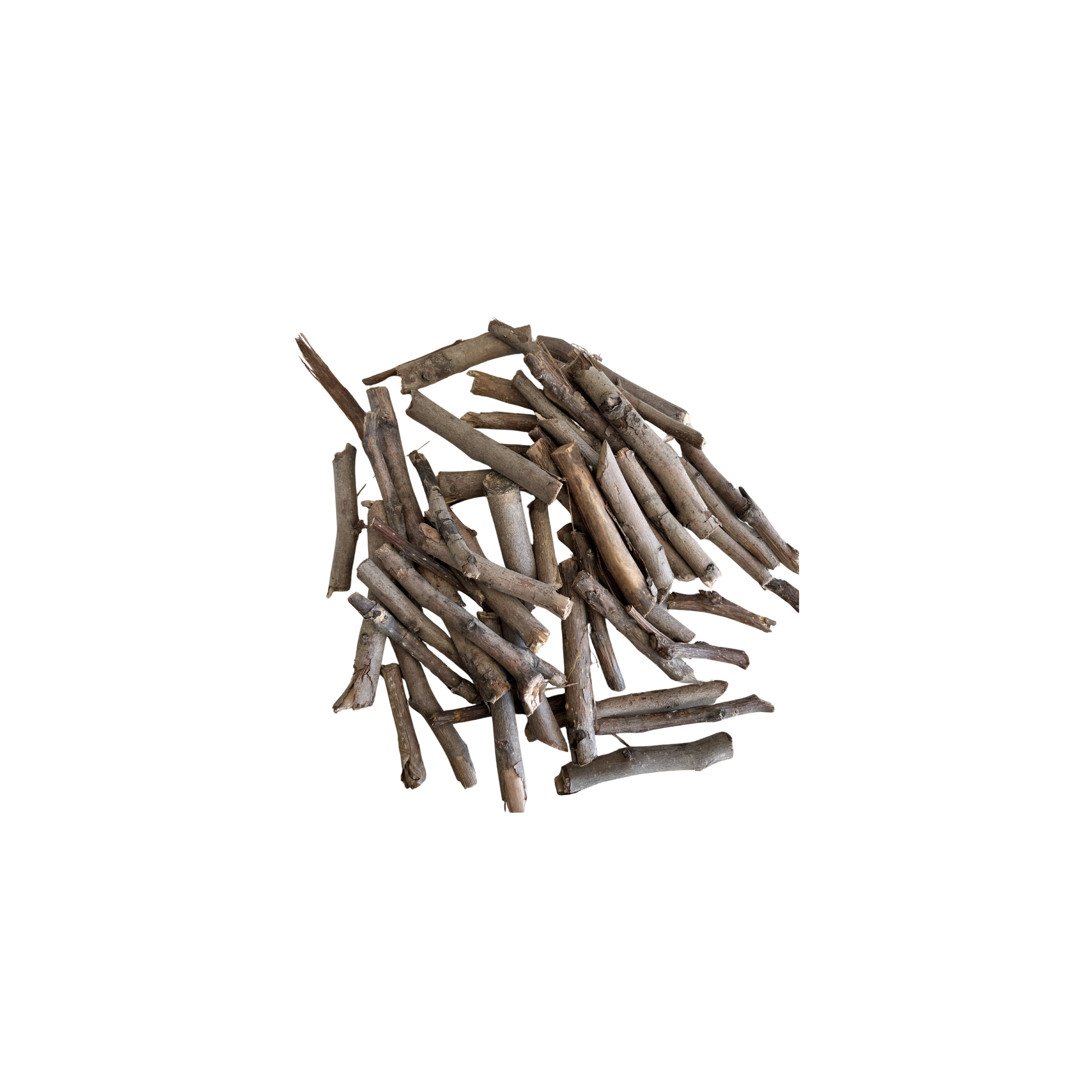 Birkenzweige | zum Foragieren | 500 g