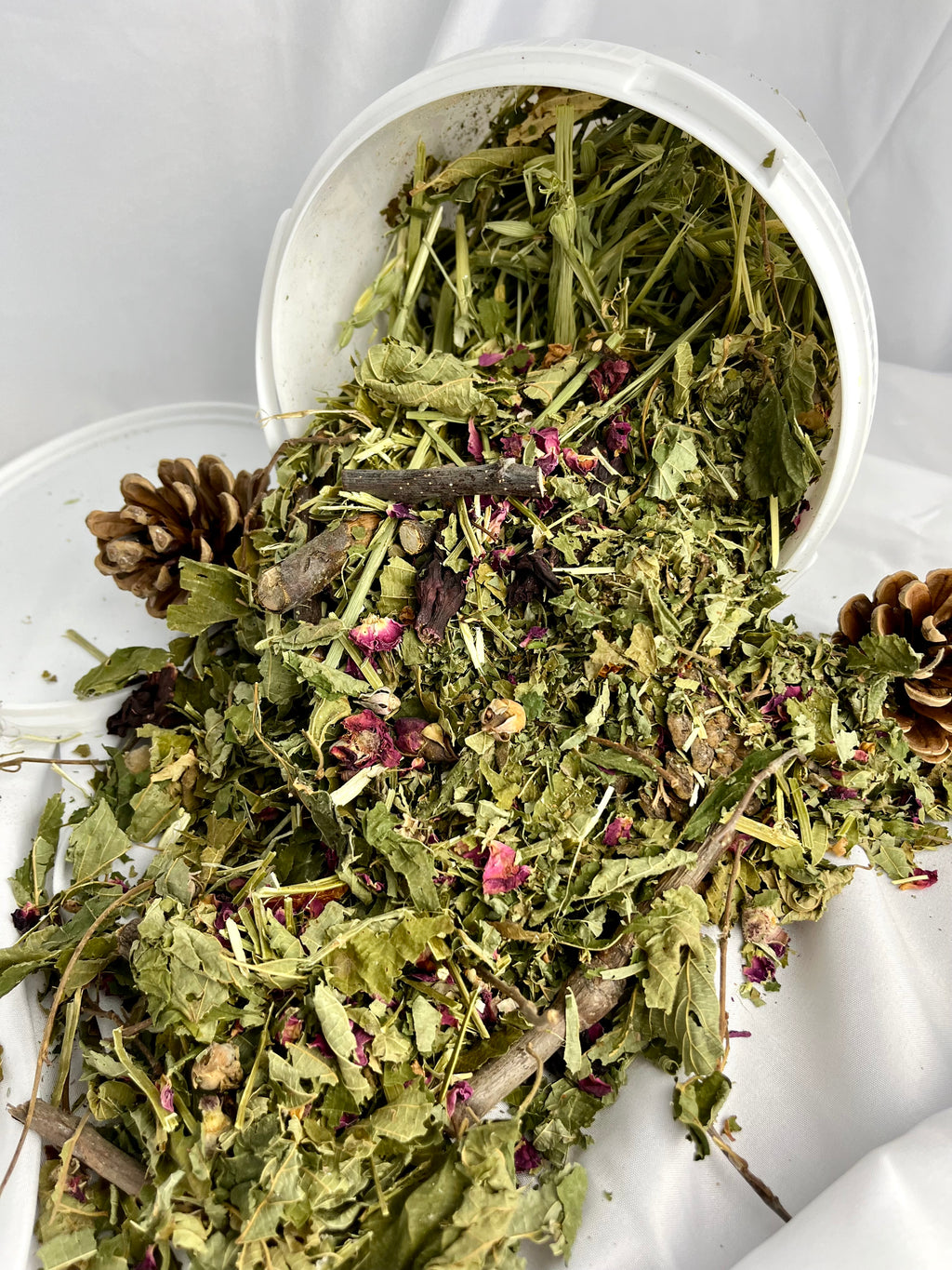 Futter + Foragemischung Premium | Mittlere Papageien
