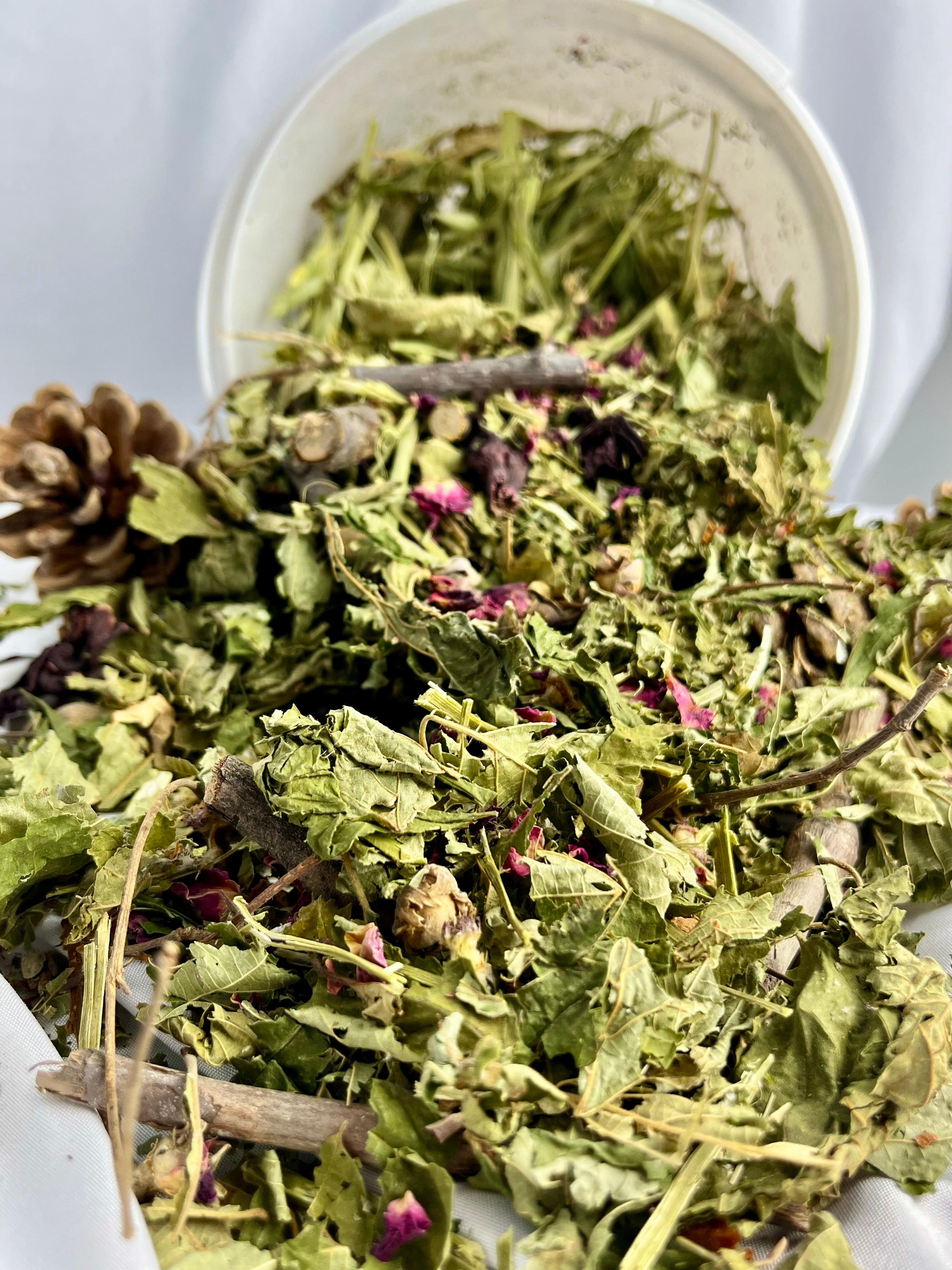 Forage Mix | Premium | Kleine Papageien