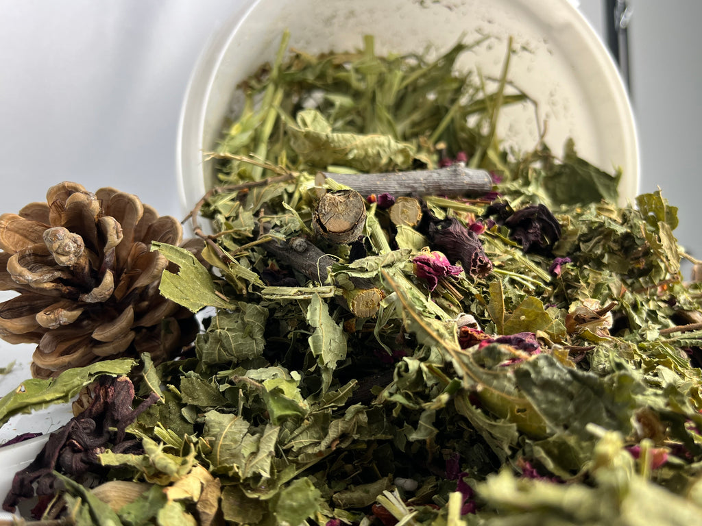 Futter + Foragemischung Premium | Mittlere Papageien