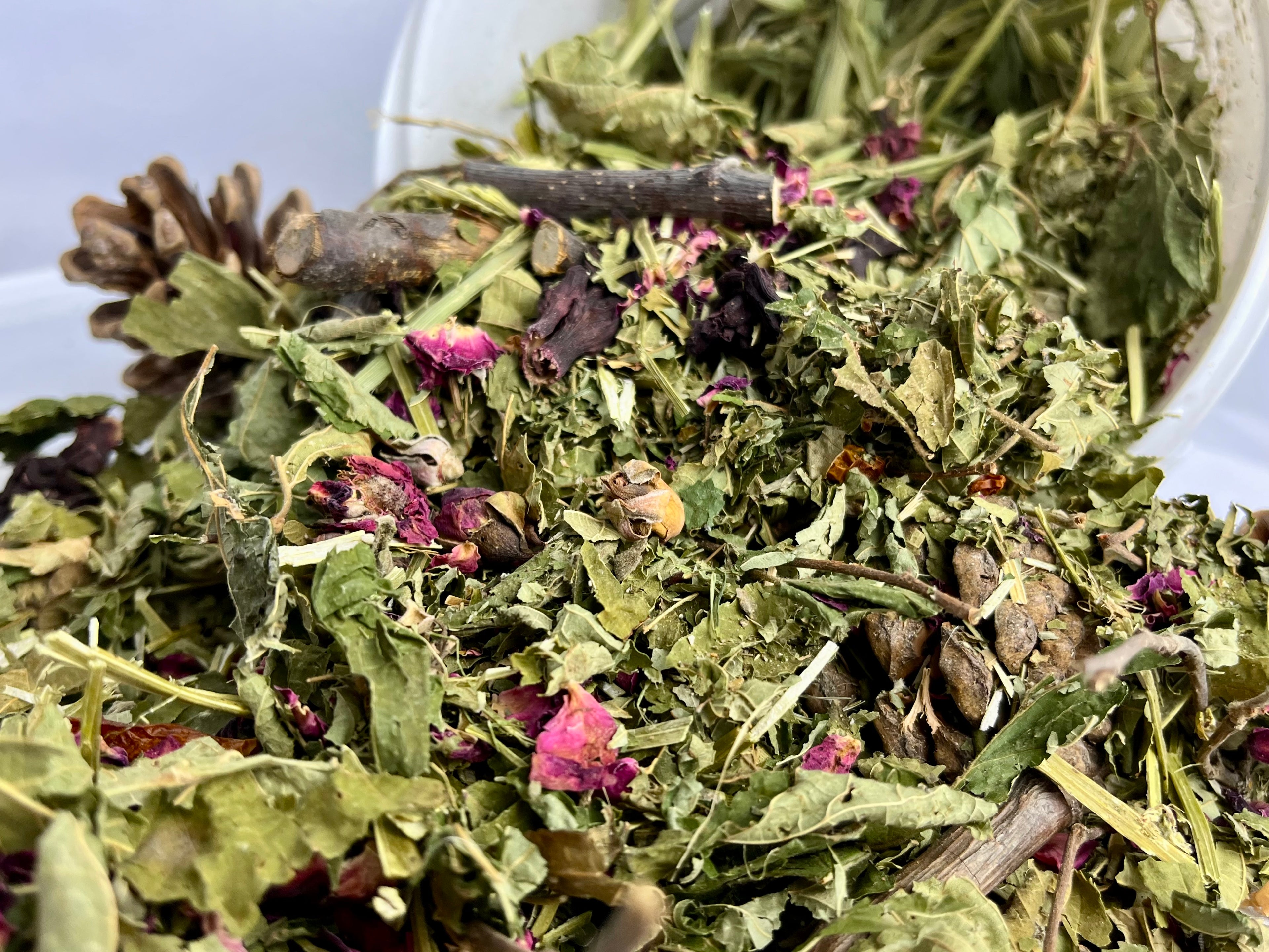 COMBO PAKKET VOORDEEL voeding + foerageermix  | Grote Papegaaien |