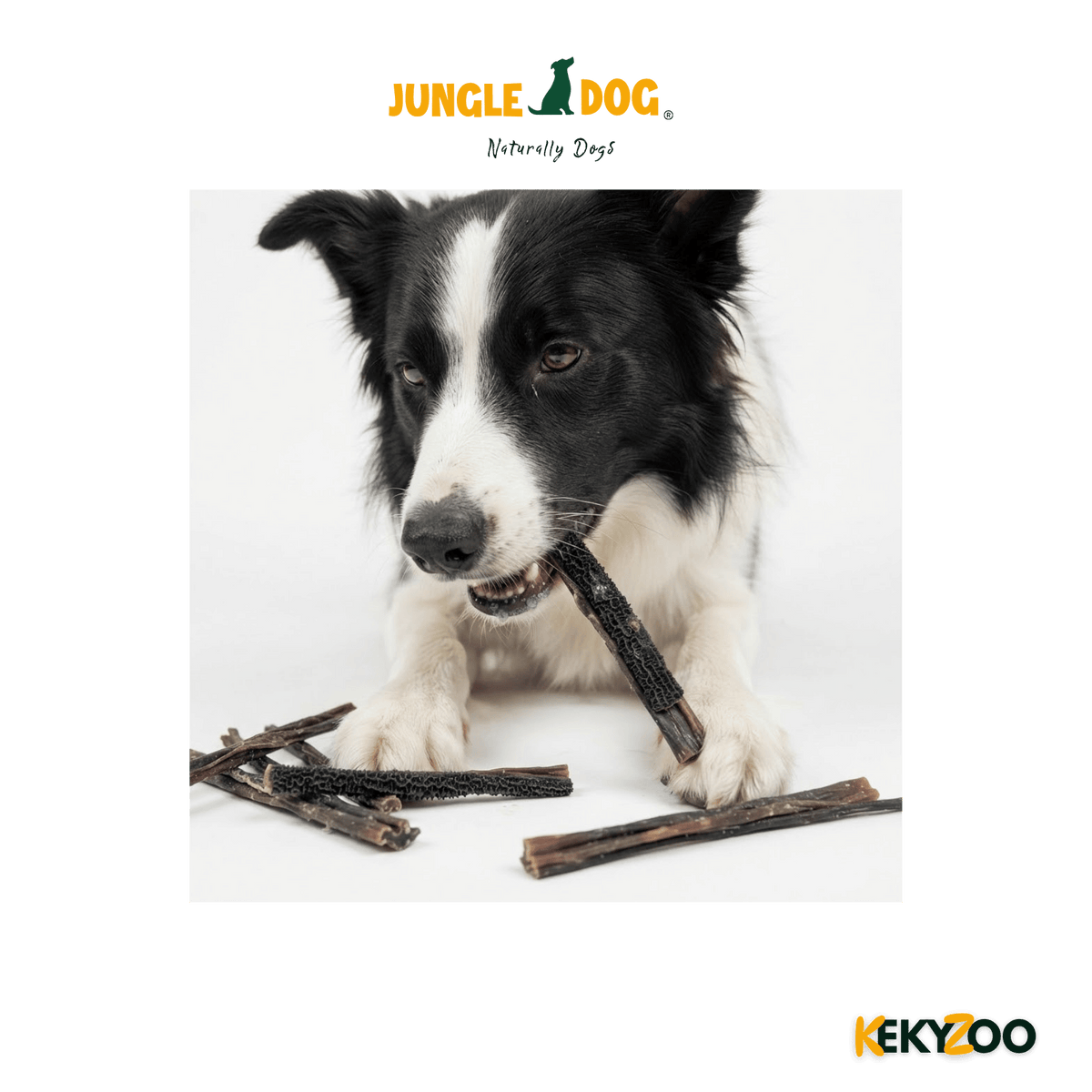 Pens 30 Cm 4 St | hondensnack | Jungle Dogs