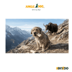I Am Yak Kaas | Himalaya | hondensnack | Jungle Dogs