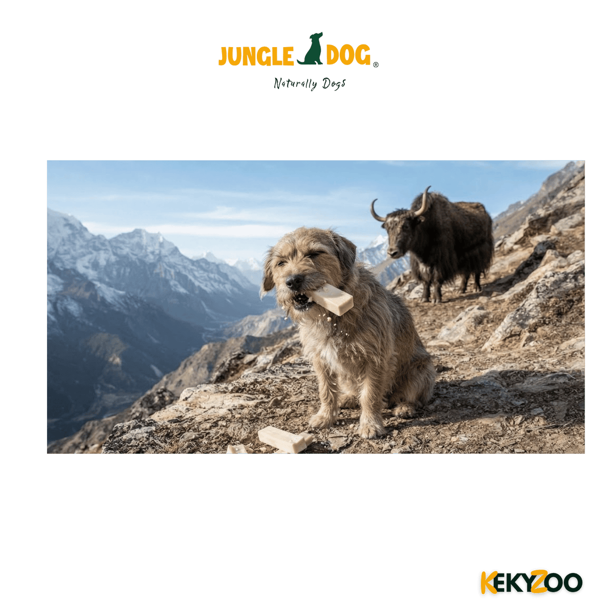 I Am Yak Kaas Large 1 Kg | Himalaya | hondensnack | Jungle Dogs