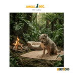 Gedroogd plantaardige kauw oor 18stuks | hondensnack | Jungle Dogs
