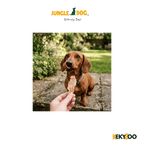 Easypets Kipfilet 500 Gr | hondensnack | Jungle Dogs