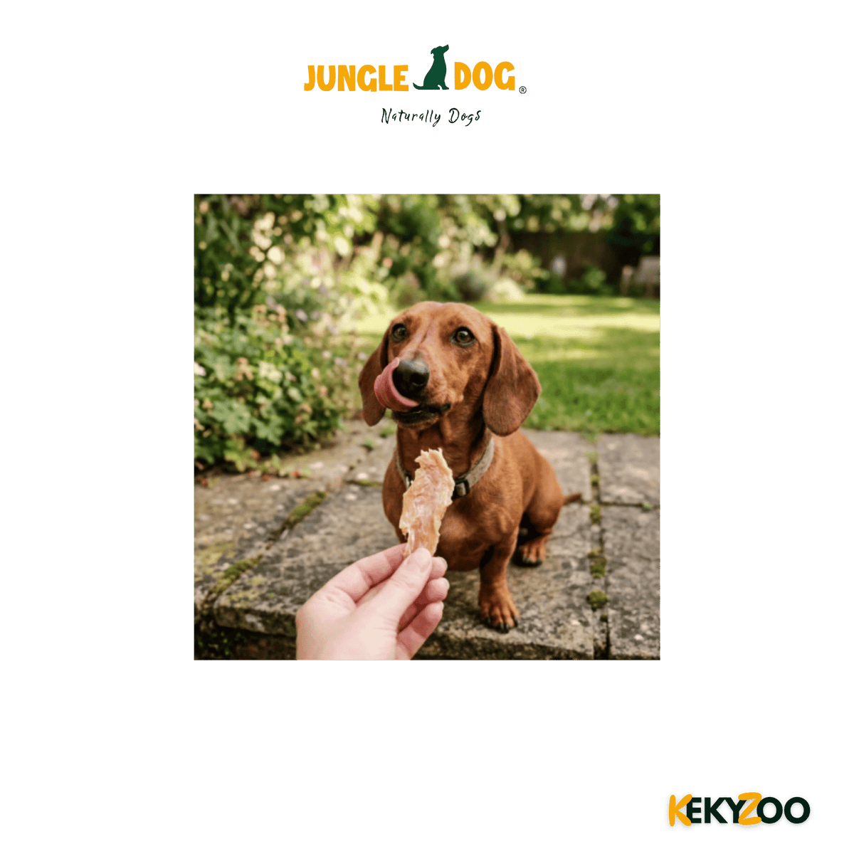 Easypets Kipfilet 500 Gr | hondensnack | Jungle Dogs
