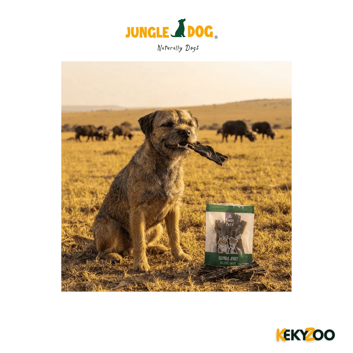 Easypets Buffel Jerky 180 Gr  | hondensnack | Jungle Dogs