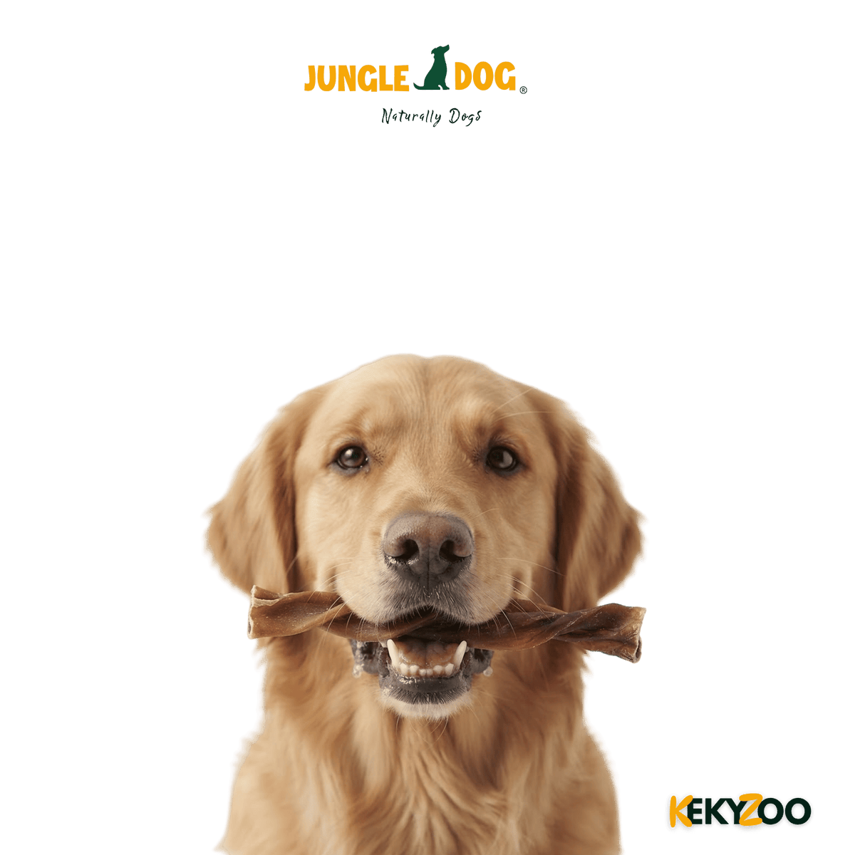 Buffelkophuid Kauwstaaf | hondensnack | Jungle Dogs
