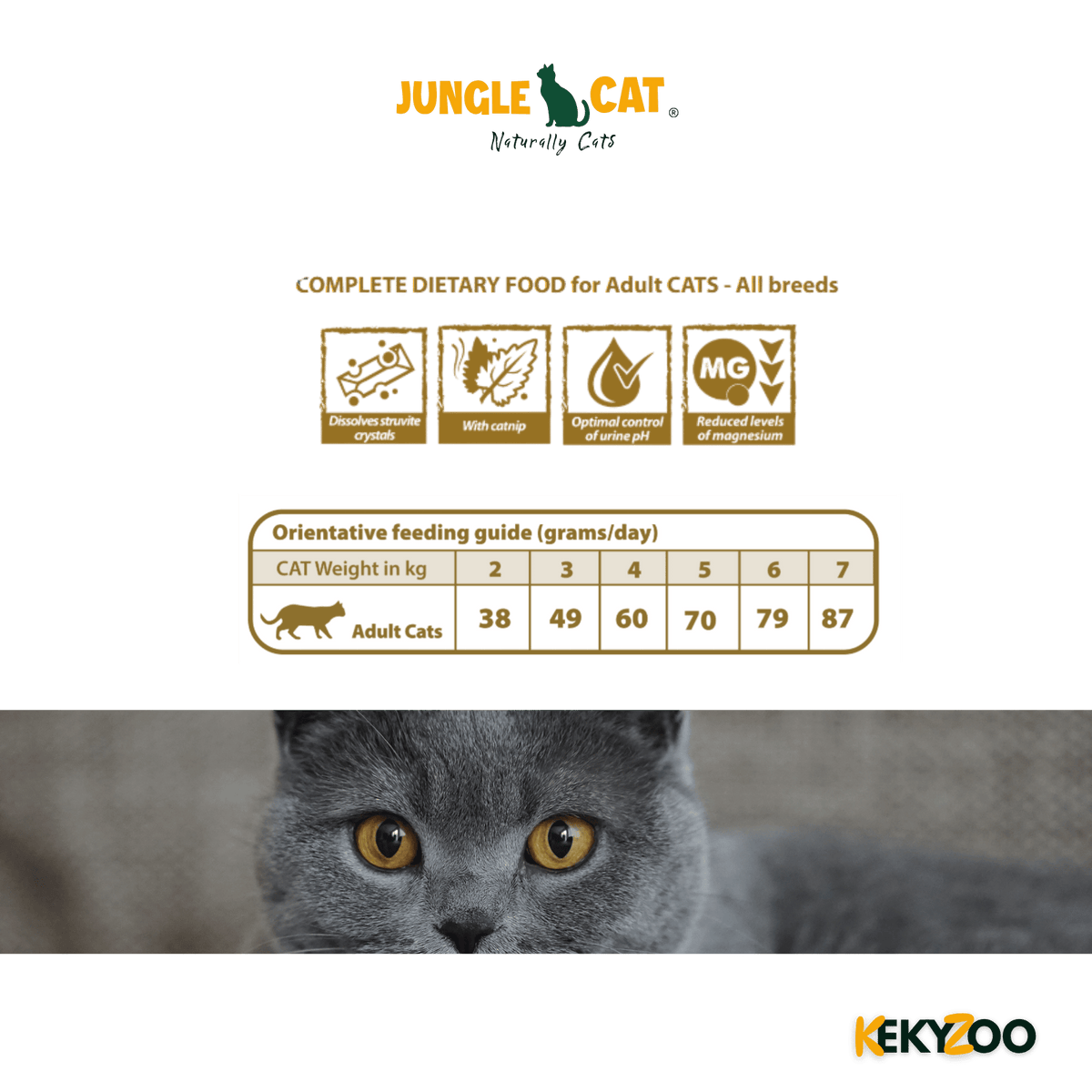 Natural Greatness Veterinary Diet Cat Struvite Complete 1,5 Kg