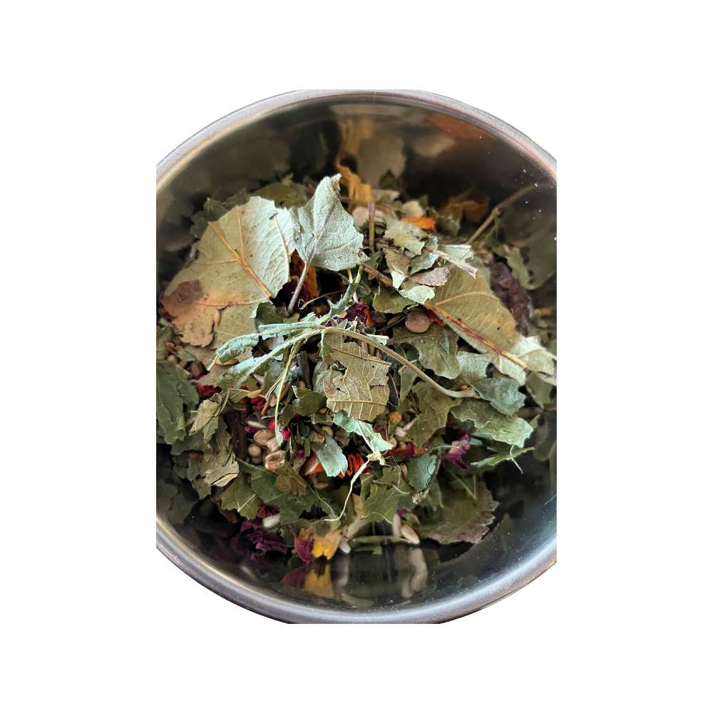 Foerageer blend | Medium papegaaien