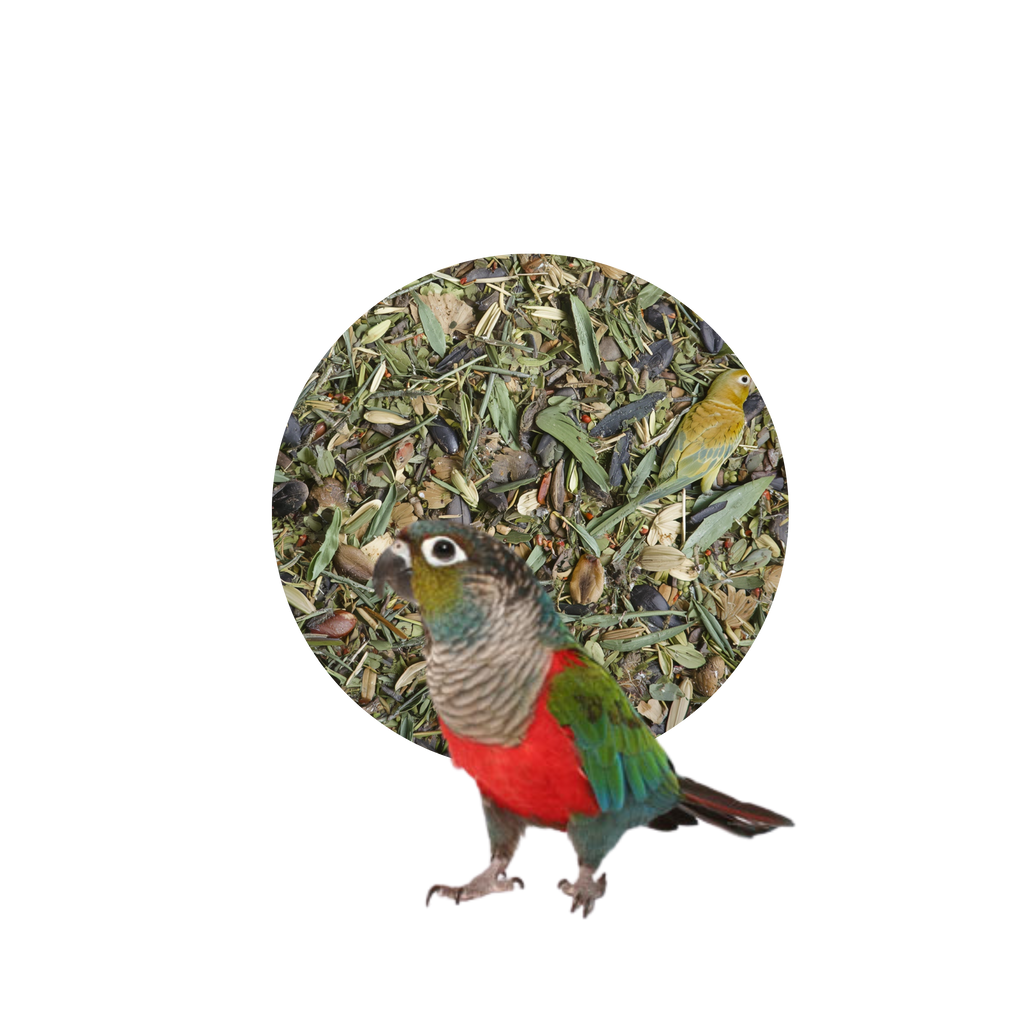 eten voor Pyrrhura