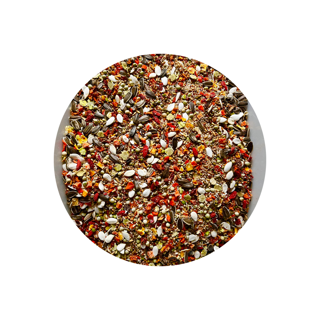 wat mag een papegaai eten. Grijze roodstaartpapegaai, Amazonepapegaai, Edelpapegaai, Pionuspapegaai, Caique, Senegalpapegaai, Meyers papegaai, Rüppells papegaai, Jardinepapegaai, Roodbuikpapegaai, Bruinkoppapegaai, Poicephalus nigricollis, Alexandrine parkiet, Grote Alexanderparkiet, Derbyparkiet, Patagoniëparkiet, Rosella, Pennantrosella, Stanleyrosella, Bleekkoprosella, Koningsparkiet, Princess of Wales-parkiet, Bergparkiet, Barrabandparkiet, Monniksparkiet, Zonparkiet, Jendayparkiet, Goudkapparkiet, Nand