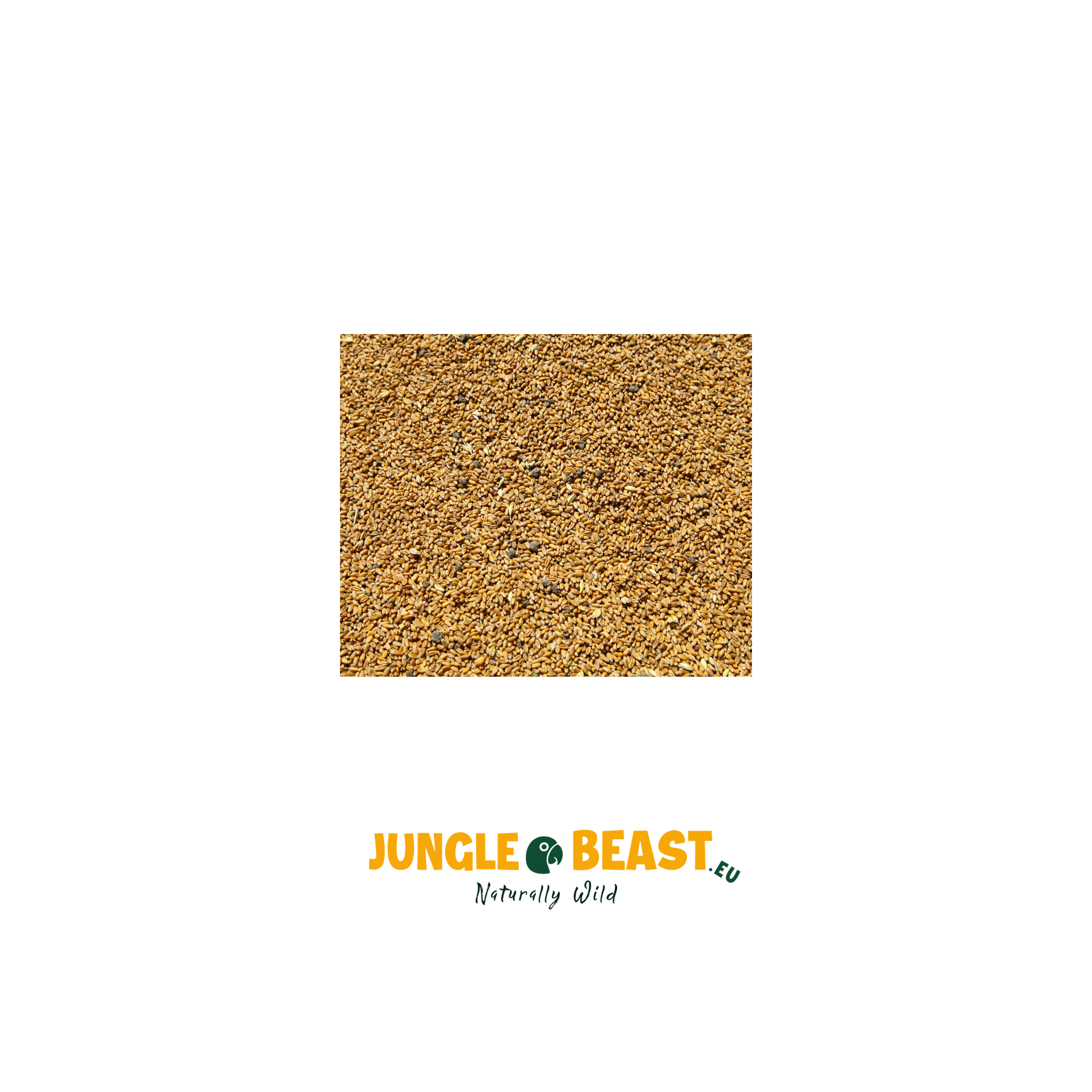 Onkruidzaad | 500g