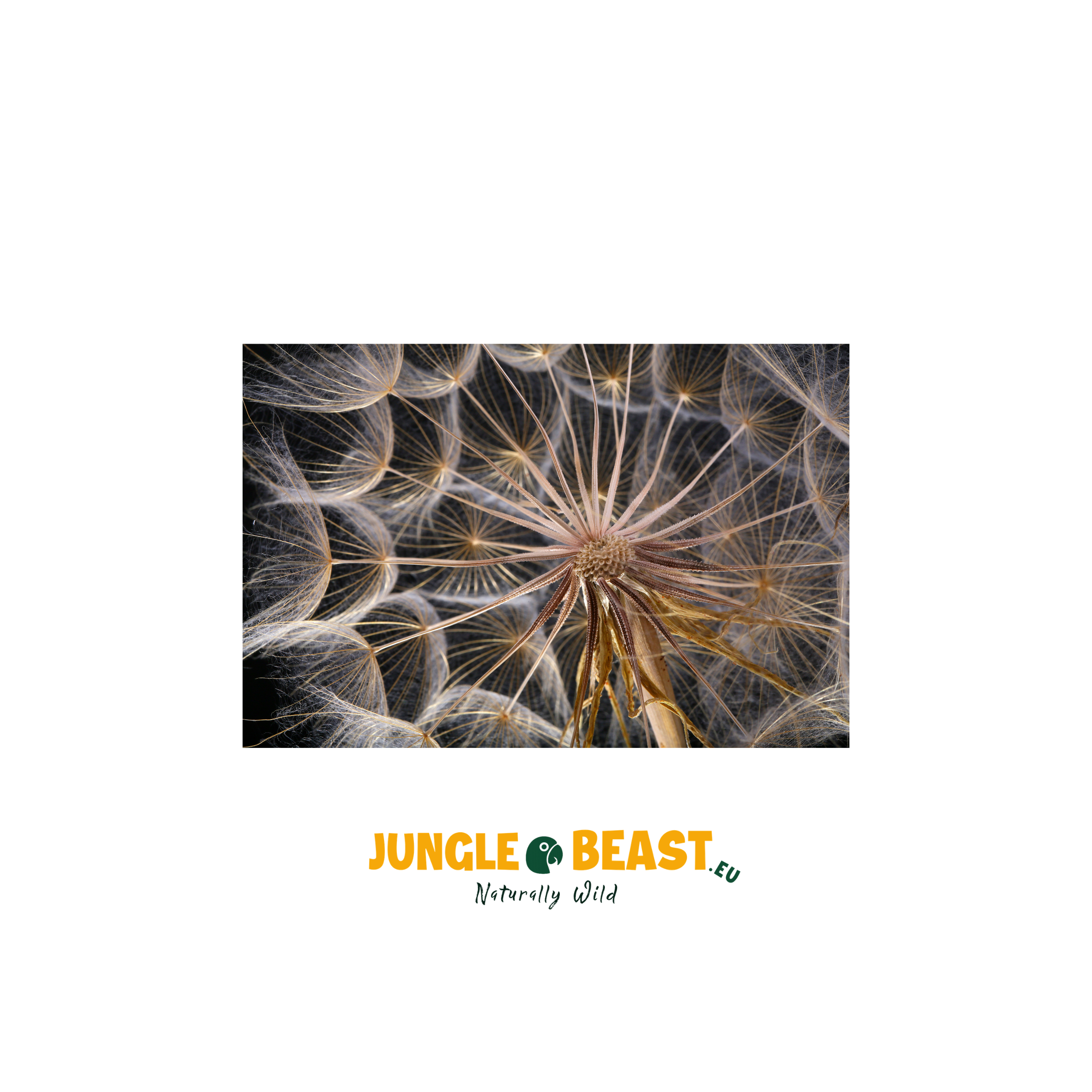 Onkruidzaad | 500g