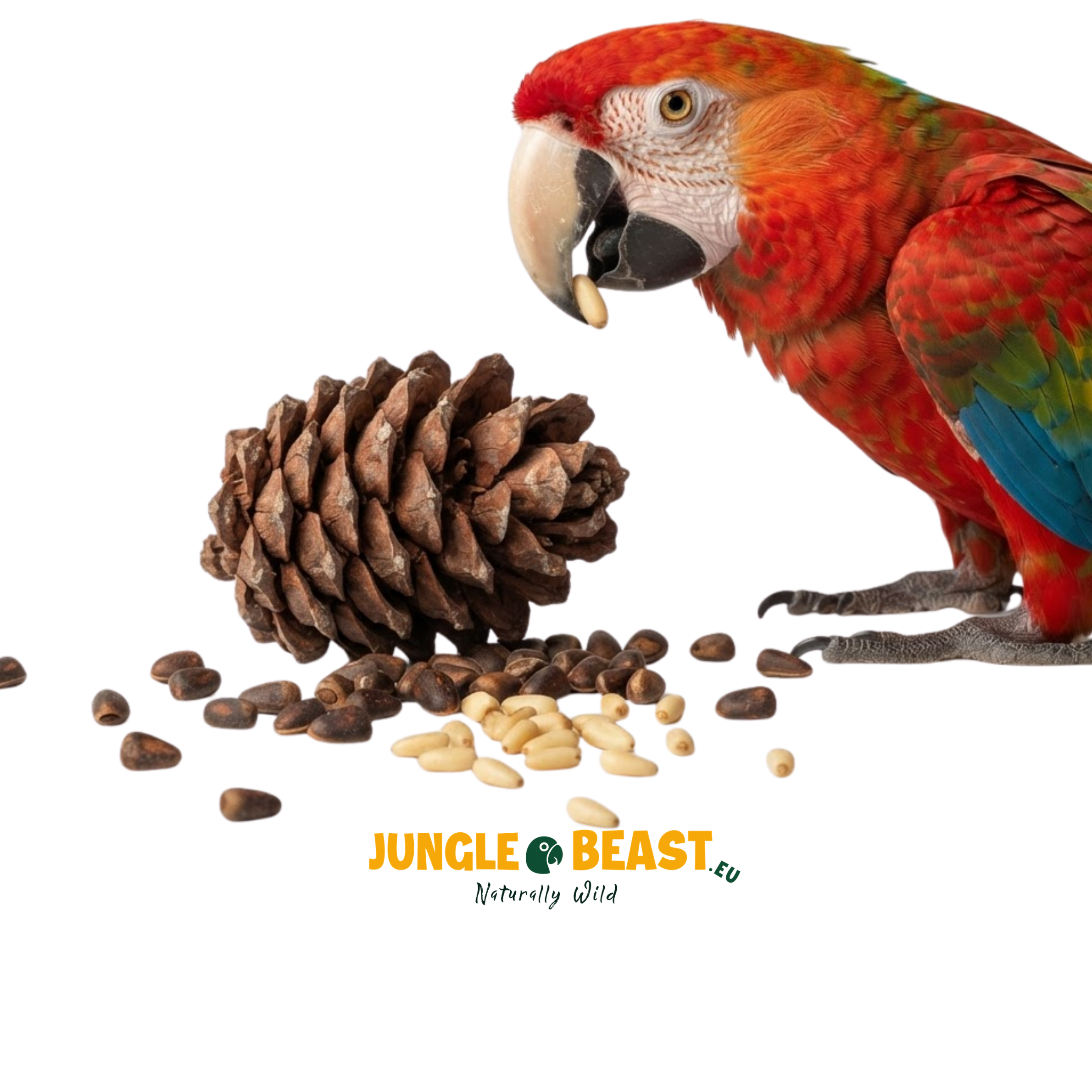 Cedernoten | Dop | papegaaien | 500g