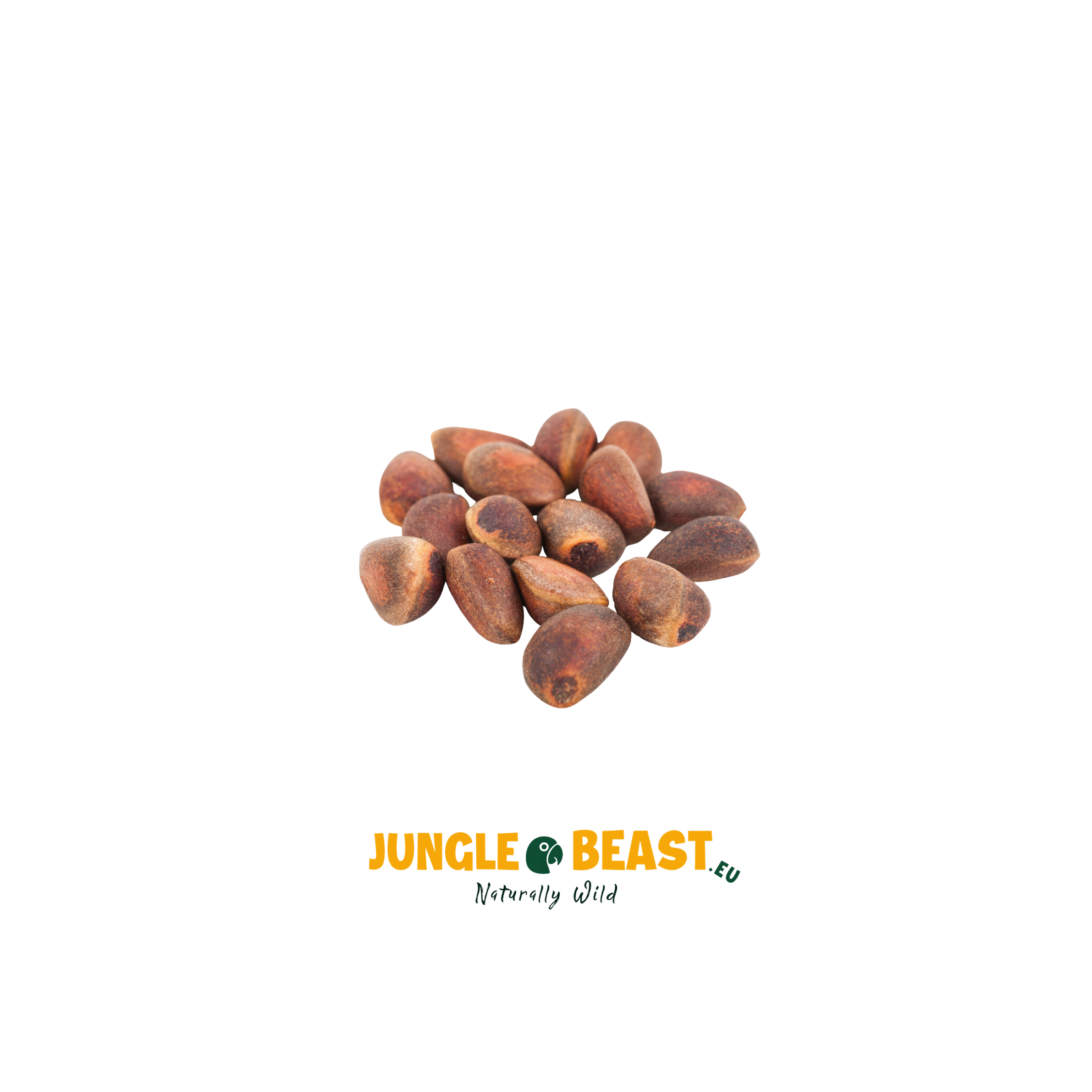 Cedernoten | Dop | papegaaien | 500g