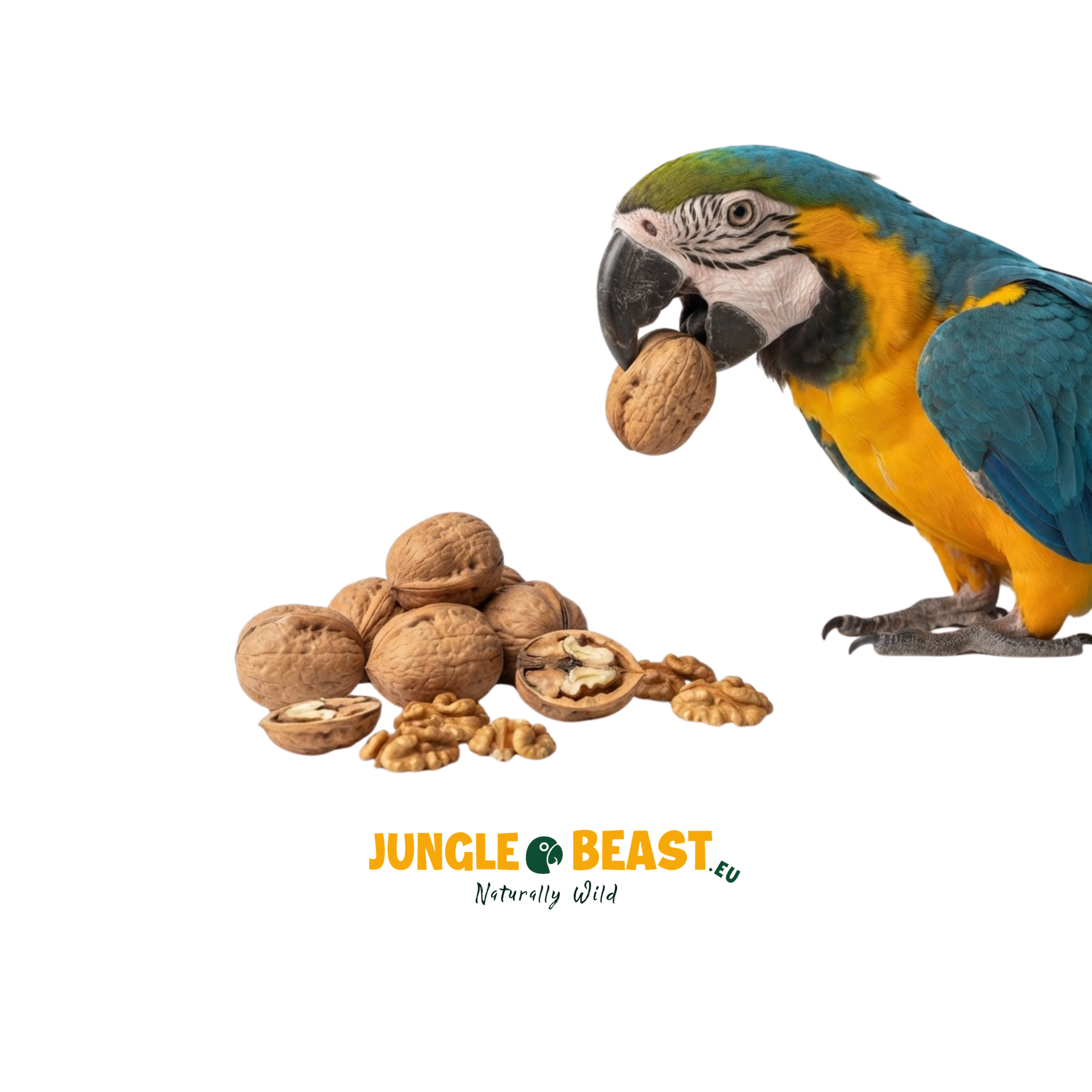Walnoot | Dop | Papegaaien | 500g
