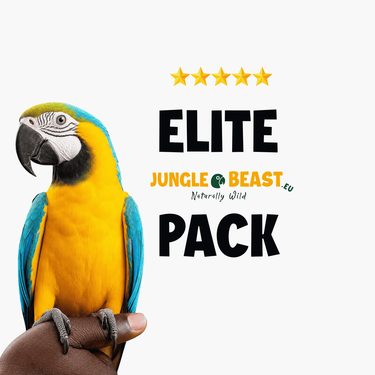 Jungle Elite Pack | Food + Foraging + Snacks + Toys | Large Parrots