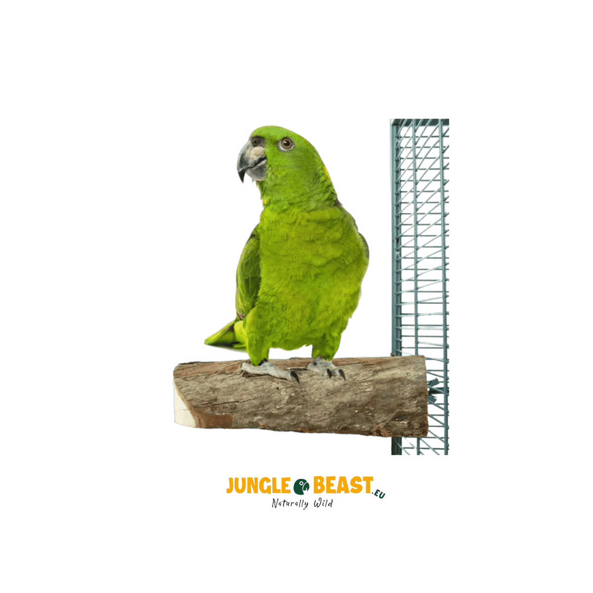 Nature Wood Slice Perch Large | Houten schijfzitstok | LARGE 17*8*4CM