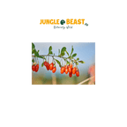 Gojibessen | Papegaaiensnack