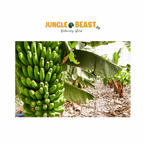 Bananenchips | Papegaaiensnack