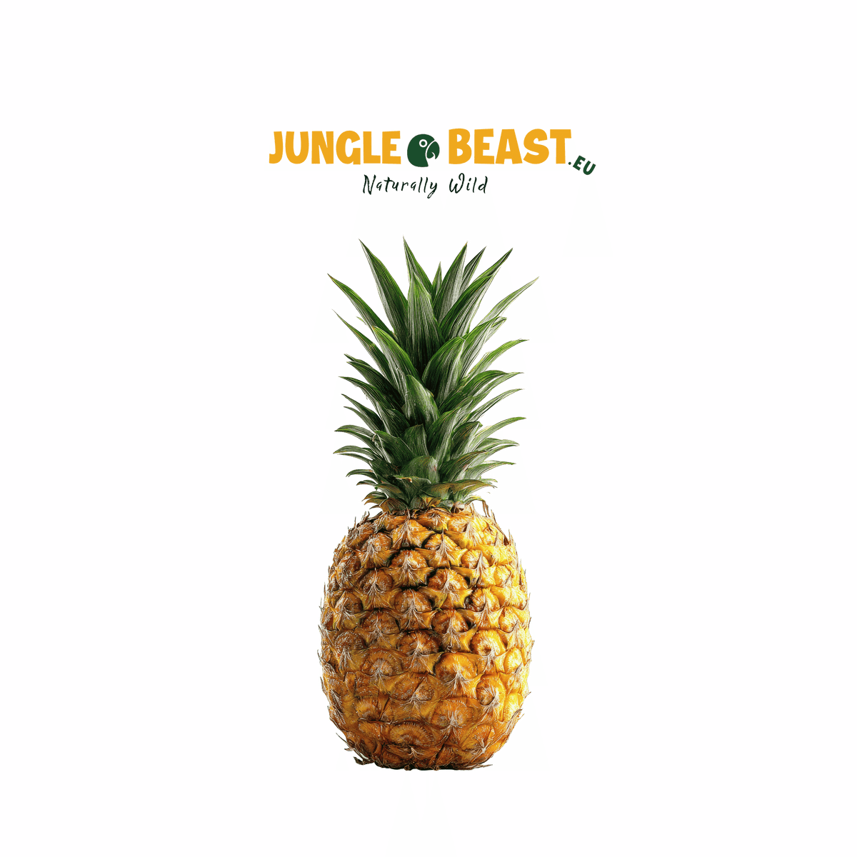 Ananasstukjes | Papegaaiensnack | 150g