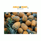 Ananasstukjes | Papegaaiensnack | 150g