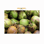 Kokosblokjes ongezoet| Costa Rica | Papegaaiensnack 150g