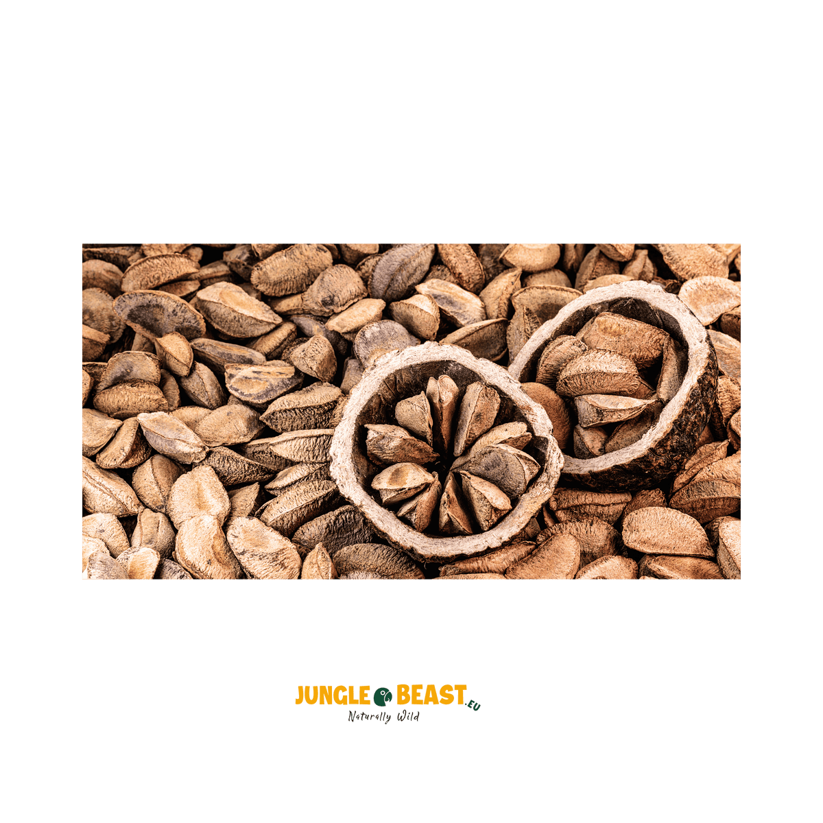 Paranoten in dop (Biologisch) | Venezuela | 300g