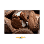 Paranoten in dop (Biologisch) | Venezuela | 300g
