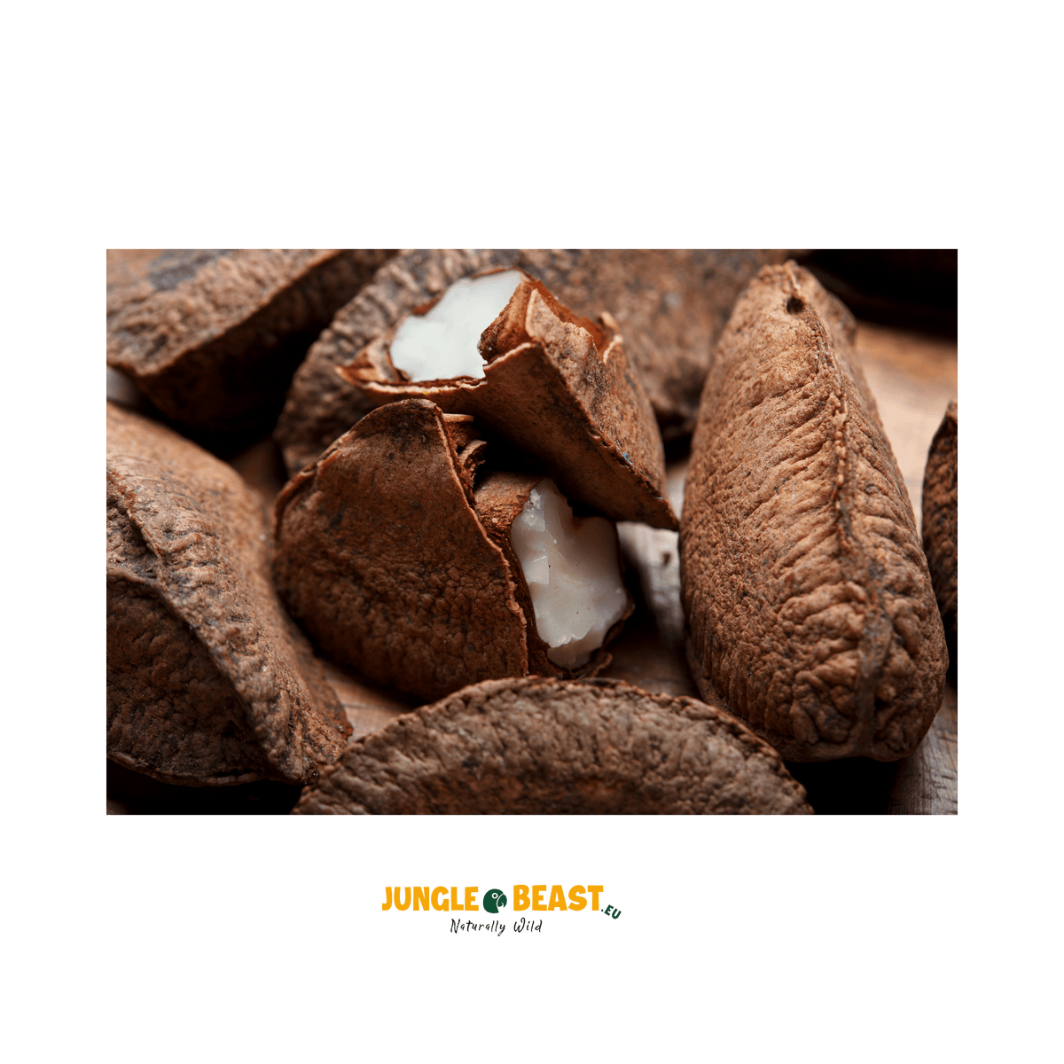 Paranoten in dop (Biologisch) | Venezuela | 300g
