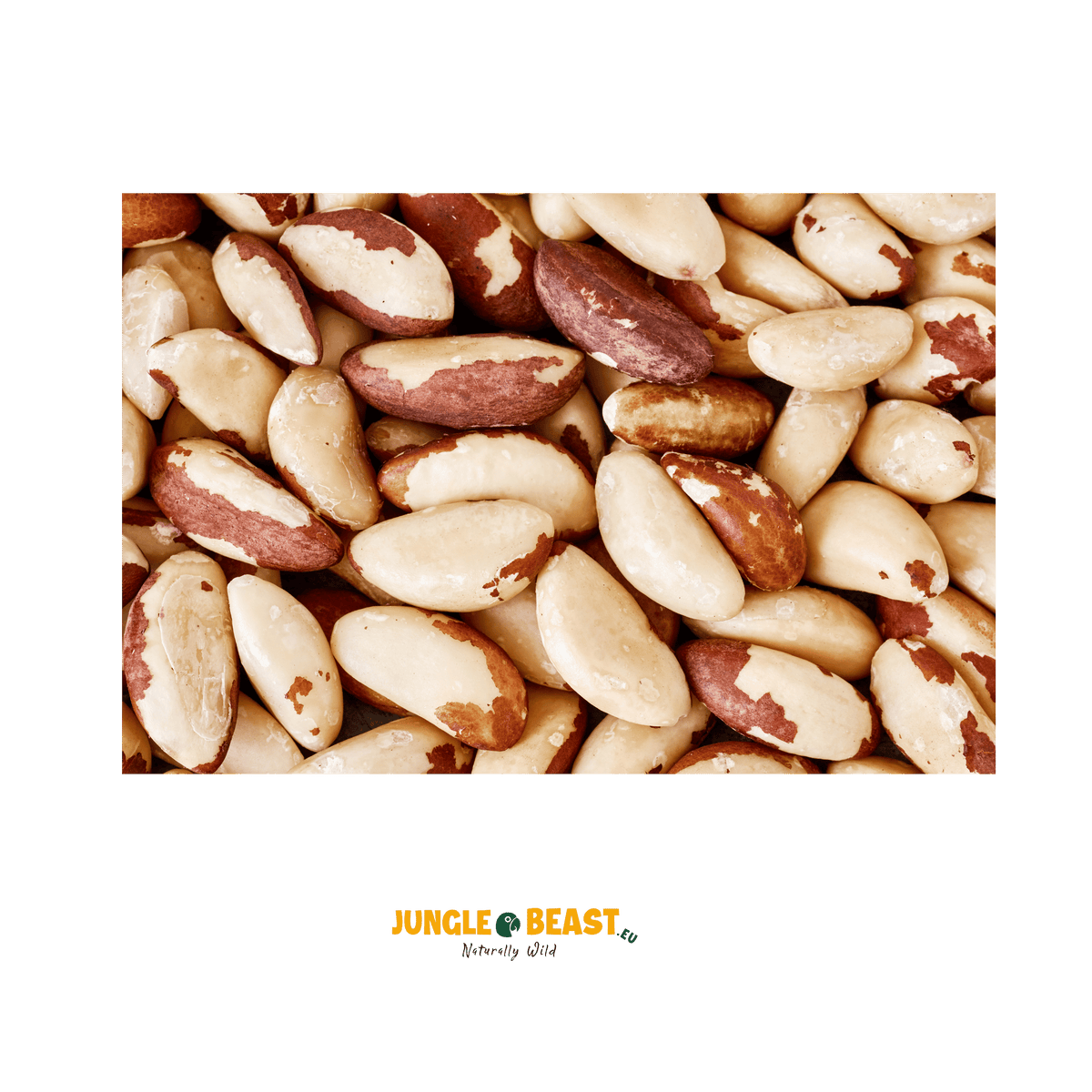 Paranoten in dop (Biologisch) | Venezuela | 300g