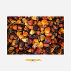 Palmpitten mix | Afrika | 150g