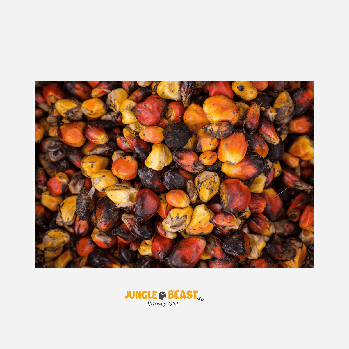 Palmpitten mix | Afrika | 150g