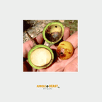 Macaúba noten | palm| Braziliaanse Cerrado| 250g