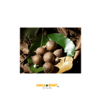 Macaúba noten | palm| Braziliaanse Cerrado| 250g