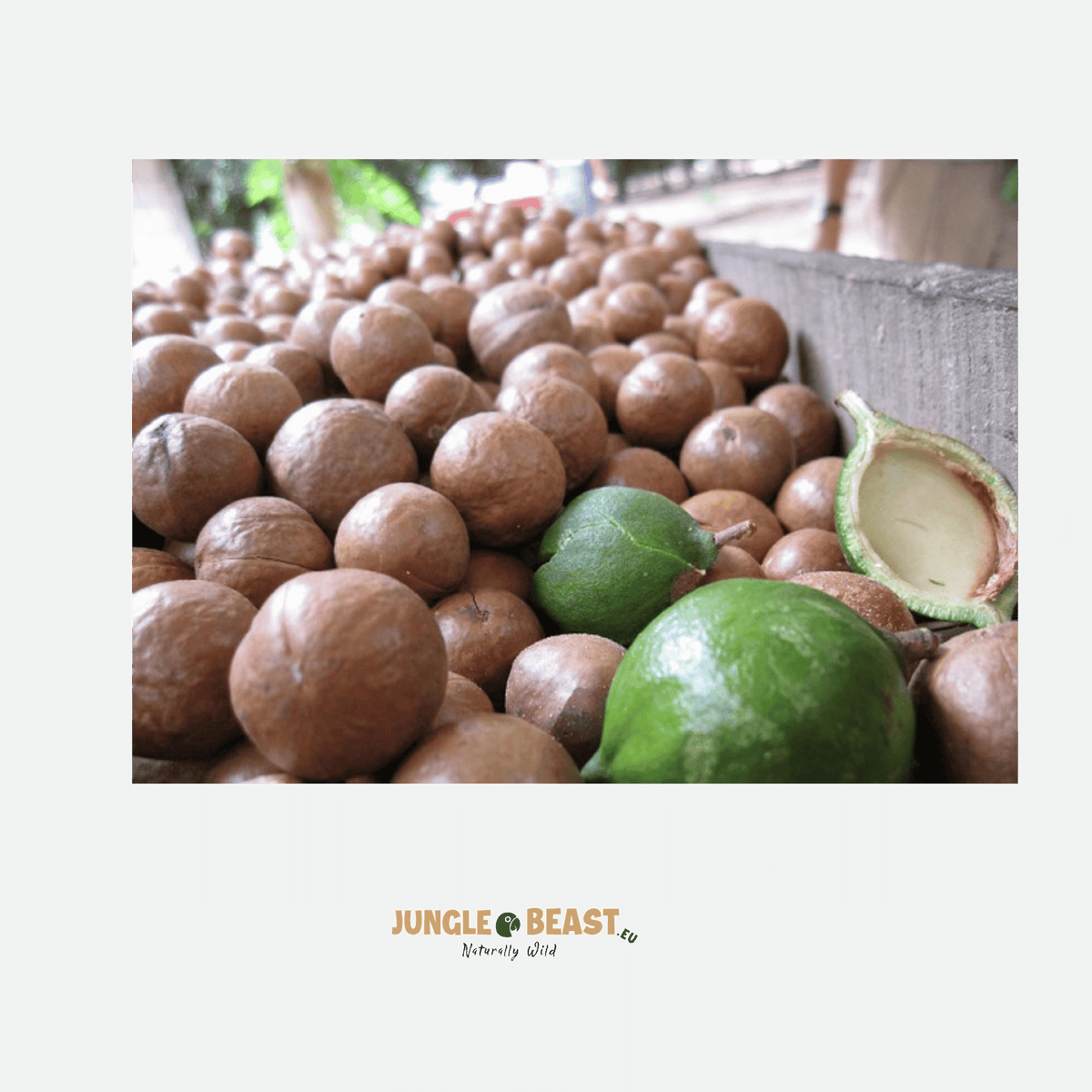 Macaúba noten | palm| Braziliaanse Cerrado| 250g