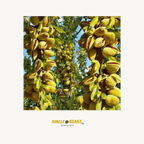 Pistache noten gepeld | 150g